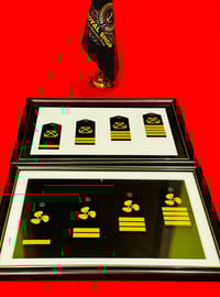 Epaulette Display Frame_img_2