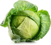 বাঁধাকপি_img_0