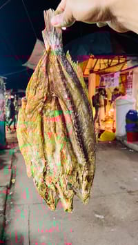 সামুদ্রিক পোয়া শুঁটকি কাট (Poa)_img_0