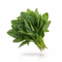 পালং শাক_img_0