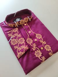 Punjabi package_img_6