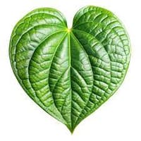 মিষ্টি পান_img_0