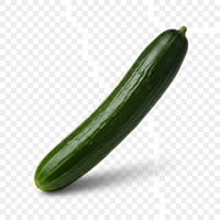 হাইব্রিড শসা ণ_img_0