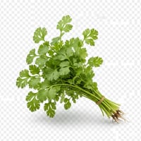 ধনেপাতা_img_0