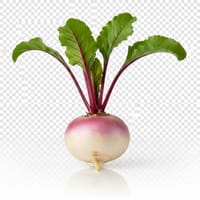 শালগম_img_0