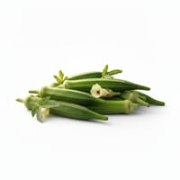 ঢেঁড়স_img_0