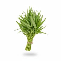 কলমি শাক_img_0