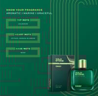 Wild Stone Chief Perfume for Men  Eau De Parfum 100ml Luxury Long-Lasting Fragrance Premium Perfume Infused with Aquatic and Woody Notes_img_2