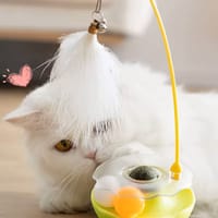Interactive Tumbler Cat Toy – Endless Fun with Feather Play! 🐾 | Keep Your Cat Active & Entertained_img_0
