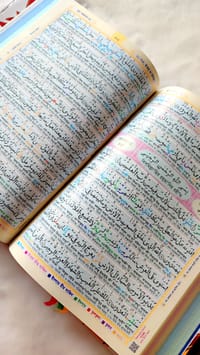 ১০" কারিয়ানা রেইনবো কালার কোডেড কোর'আন মাজীদ_img_4