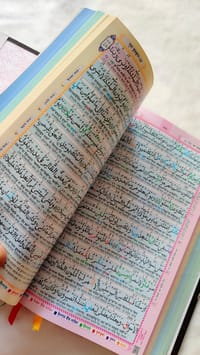 ৯" কারিয়ানা রেইনবো কালার কোডেড কোর'আন শরীফ_img_2