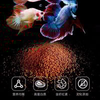 SISO TB-F3 Pro Color Royal Tropical Bits Food 20 gm_img_1