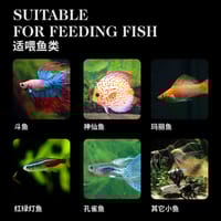 SISO TB-F3 Pro Color Royal Tropical Bits Food 20 gm_img_2