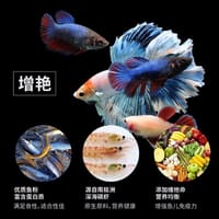 SISO TB-F3 Pro Color Royal Tropical Bits Food 20 gm_img_3