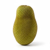 কাঠাল_img_0