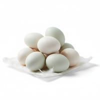 হাসের ডিম_img_0