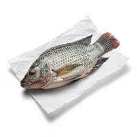 খেলাপি_img_0