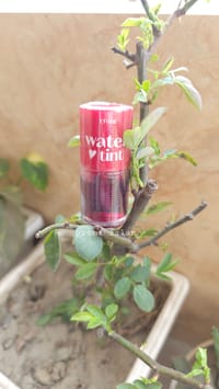 ETUDE Water Tint 💄_img_0