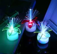 Colorful LED Optic Fiber Flower Light Star Sky Shaped Valentine Party Lamp Day Atmosphere Home Decoration Night Festival_img_2