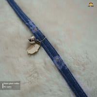 Collar_img_0