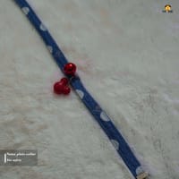 Collar_img_0
