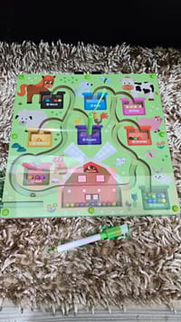 Megnetic colour founding intelligence toy_img_3