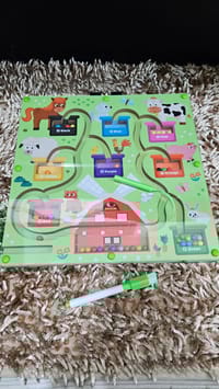 Megnetic colour founding intelligence toy_img_4