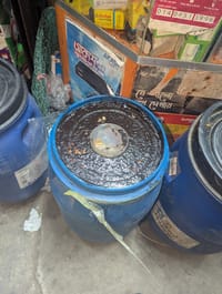 বাদামের মিষ্টি চার - এক ড্রাম_img_1