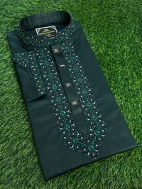 Embroidery Panjabi_img_0