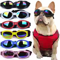 Dog Sunglass_img_0