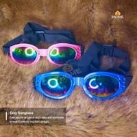 Dog Sunglass_img_1