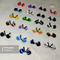 Round shape cat sunglass_img_1