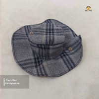 Cat Hat_img_0