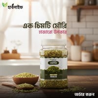 মৌরি / Fennel (১৫০ গ্রাম )_img_0
