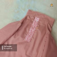 2.5kg cat panjabi_img_0