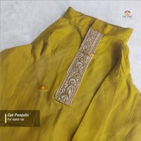 1 kg cat panjabi_img_0