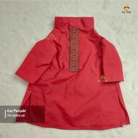 2.5kg cat panjabi_img_0