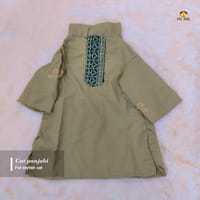 2.5kg cat panjabi_img_0