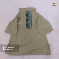 2.3 kg cat panjabi_img_0