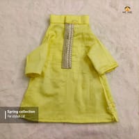 2.3 kg cat panjabi_img_1