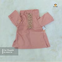 800 gm Cat panjabi_img_0