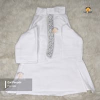 800 gm Cat panjabi_img_0