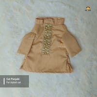 700 gm cat dress_img_0