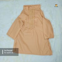 3.5kg cat panjabi_img_0