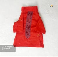 700 gm cat dress_img_0