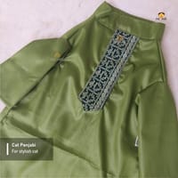 3.5kg cat panjabi_img_0