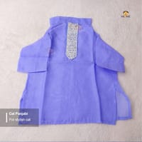 3.5kg cat panjabi_img_0