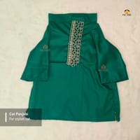 3.5kg cat panjabi_img_0