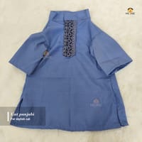 3.5kg cat panjabi_img_0