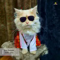 3 kg cat panjabi_img_0